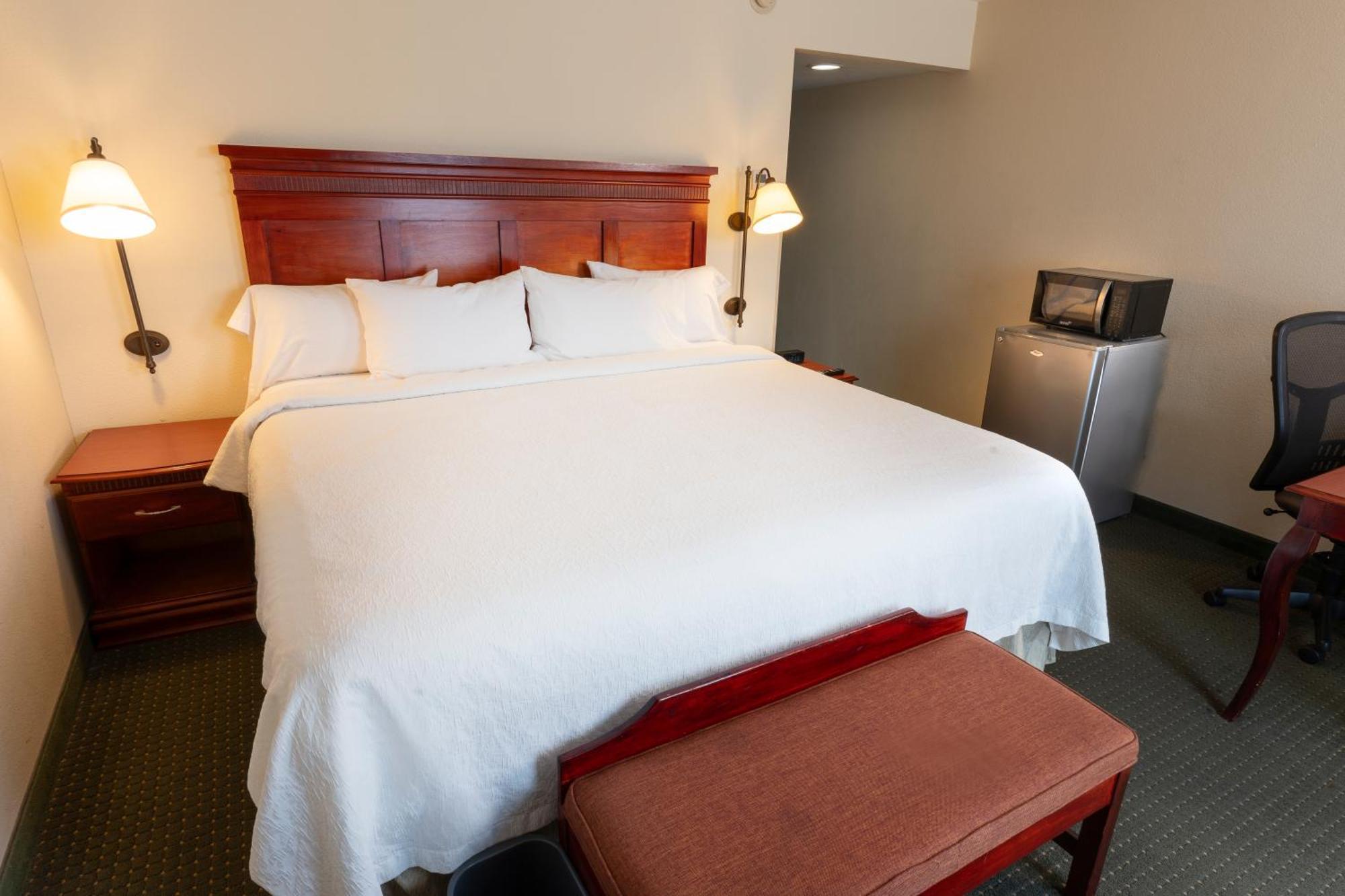 Hampton Inn By Hilton Guadalajara-Aeropuerto Las Pintas Экстерьер фото
